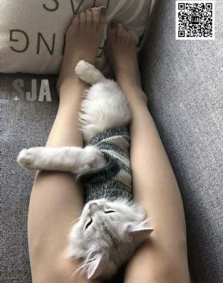 独一有二的她电视剧免费观看