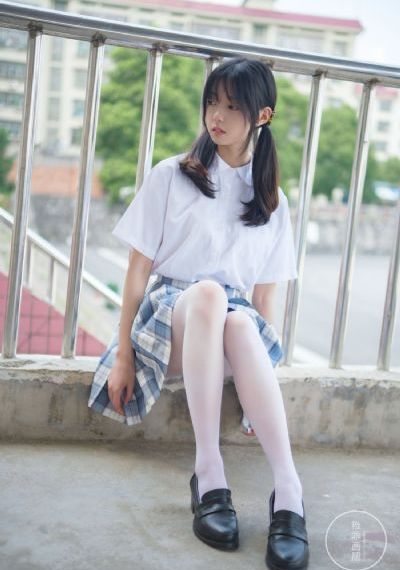 丽枫公棚赛鸽公棚