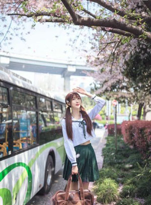 藏海花电视剧全集免费完整版
